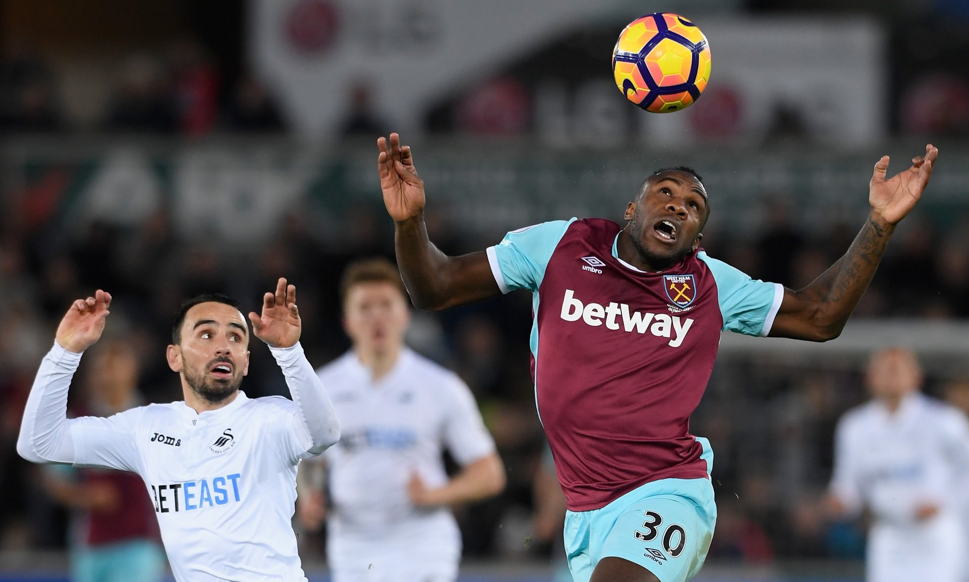 职业规划几 职业规划几